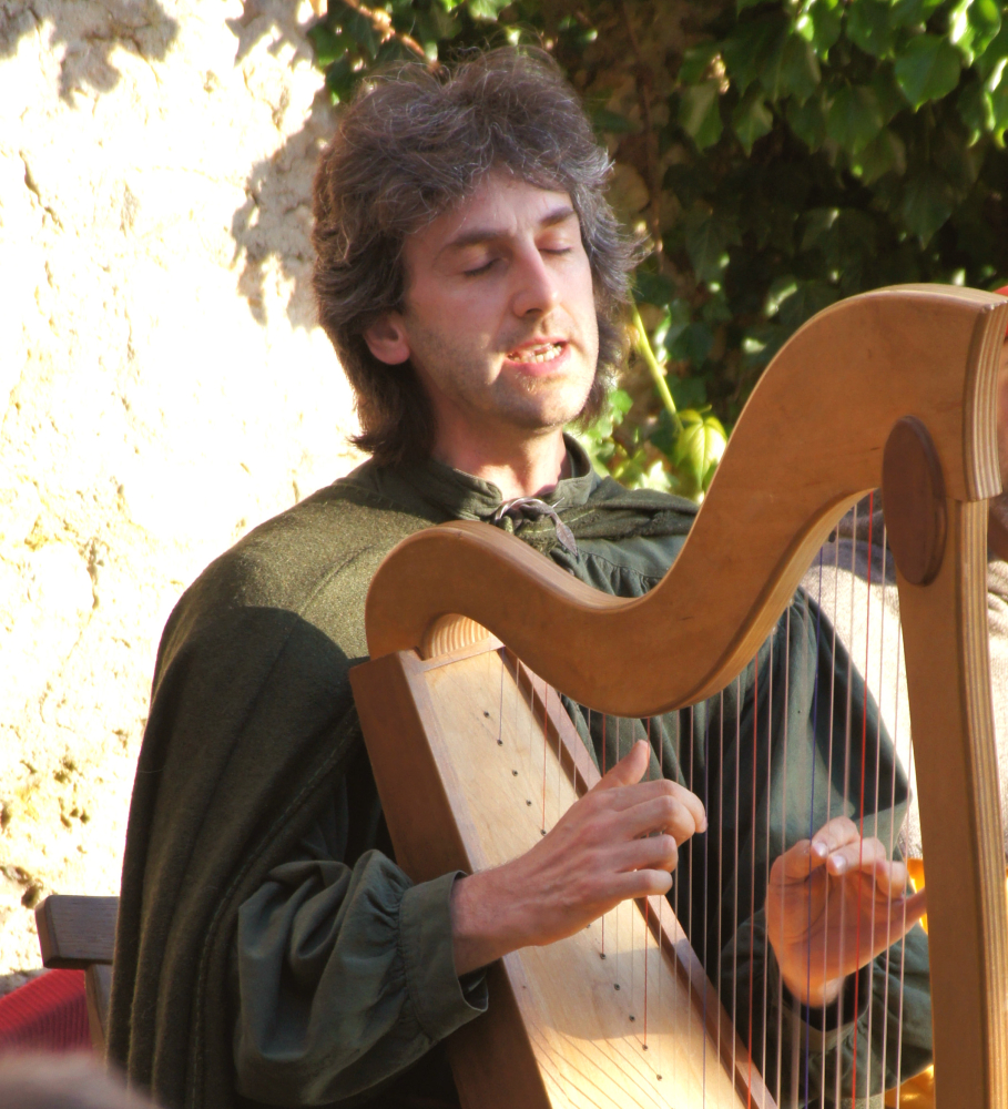 Holger Schäfer auf der Harfe